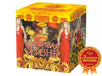 Красивая жизнь Фейерверк купить в Суздале | suzdal.salutsklad.ru