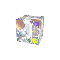 Новогодняя ночь Салют купить в Суздале | suzdal.salutsklad.ru