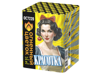 Красотка Батарея салютов купить в Суздале | suzdal.salutsklad.ru