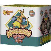 Кенгуру Батарея салютов купить в Суздале | suzdal.salutsklad.ru