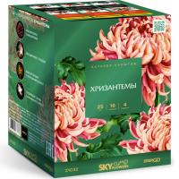 Хризантемы Фейерверк купить в Суздале | suzdal.salutsklad.ru