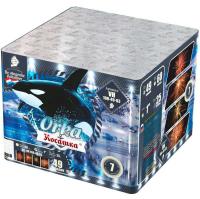 Косатка Фейерверк купить в Суздале | suzdal.salutsklad.ru