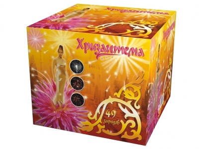 Хризантема Салют купить в Суздале | suzdal.salutsklad.ru