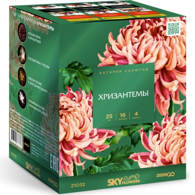 Хризантемы Фейерверк купить в Суздале | suzdal.salutsklad.ru