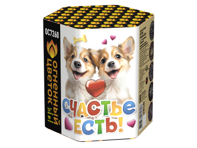 Счастье есть! Салют купить в Суздале | suzdal.salutsklad.ru